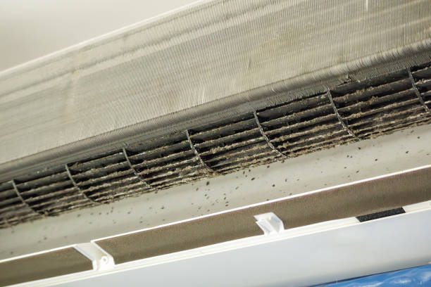 Best Affordable HVAC Duct Cleaning  in Keystone, FL